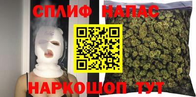 сатива Кулебаки