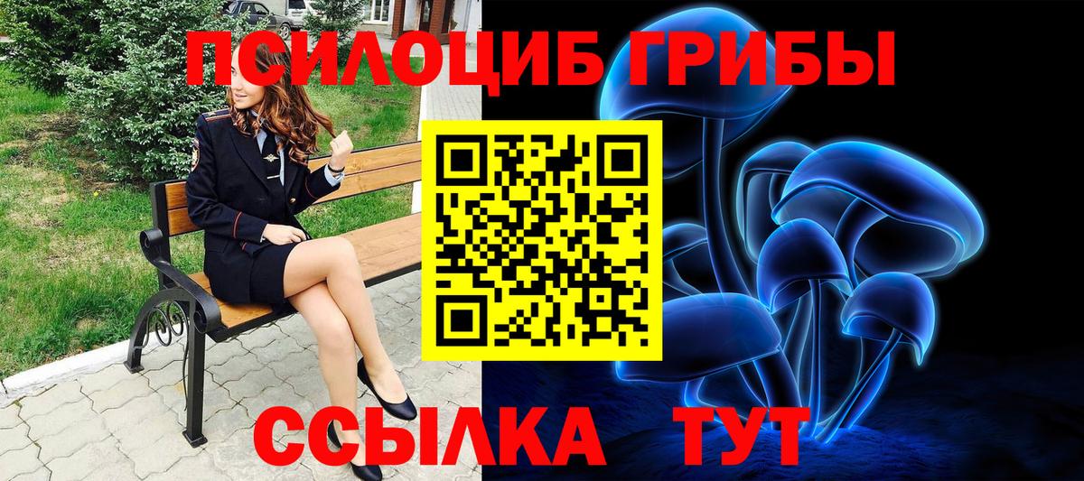 Псилоцибиновые грибы GOLDEN TEACHER  Вход с VPN  Химки  Псилоцибиновые грибы прущие грибы 